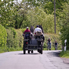 Sommerspaziergang_quadrat.jpg